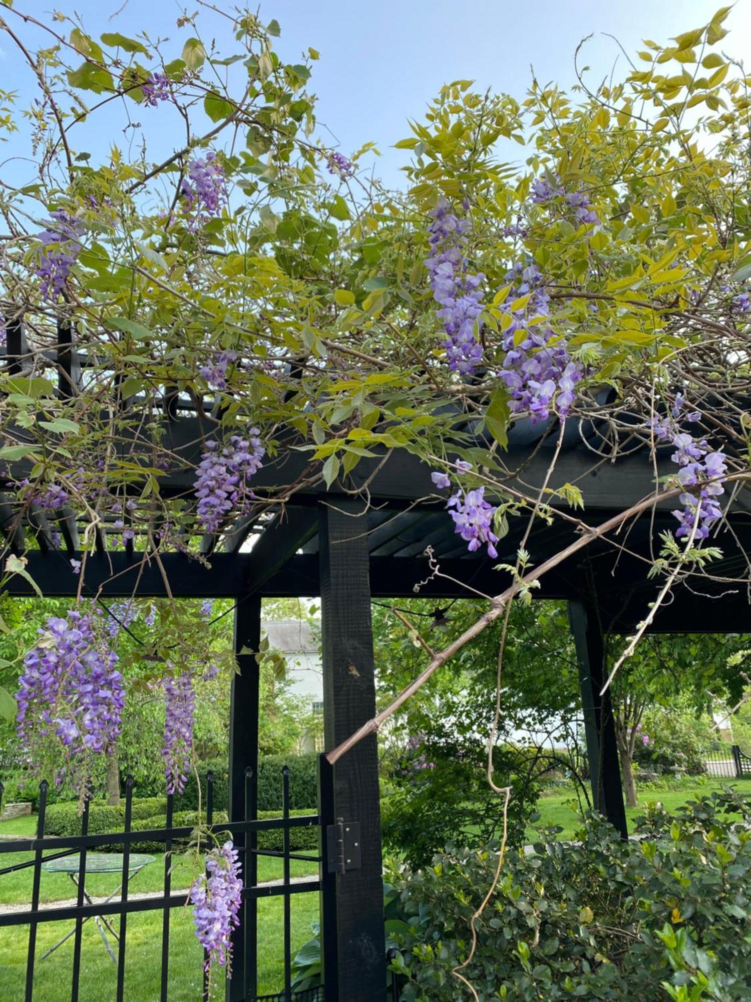 The Connecticut River Valley Inn Hartford South/Glastonbury Buitenkant foto